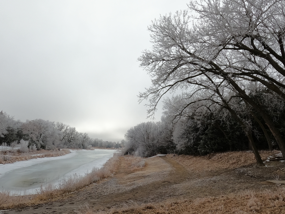 Icy Lake and Trees